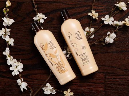 Sweet Almond Oil Long Healthy Conditioner by Bain de Terre for Unisex - 13.5 oz Conditioner For Sale