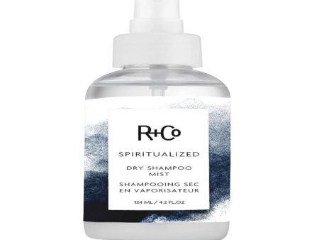 Spiritualize Dry Shampoo Mist by R+Co for Unisex - 4.2 oz Dry Shampoo Online now