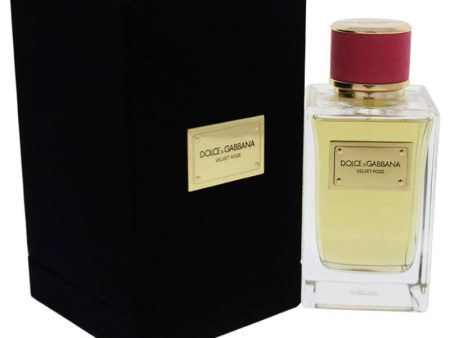 Velvet Rose by Dolce and Gabbana for Women - 5 oz EDP Spray Online now