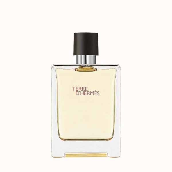 TERRE D HERMES by Hermes, EDT SPRAY 6.7 OZ Hot on Sale