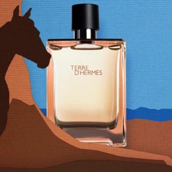 Terre D hermes by Hermes For Men. Aftershave 3.3-Ounces Online