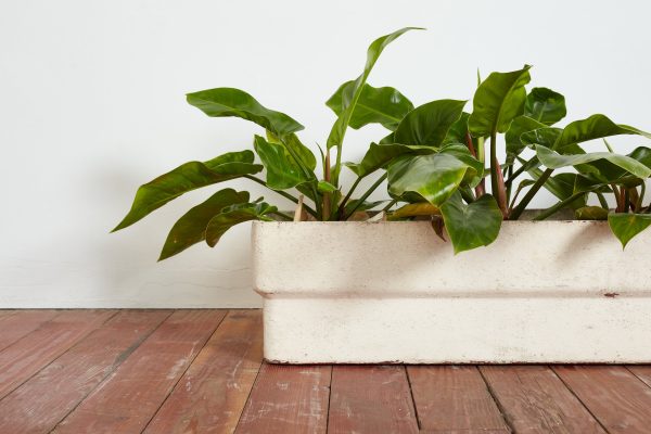 White Willy Guhl Rectangle Planter For Cheap