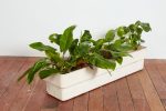 White Willy Guhl Rectangle Planter For Cheap