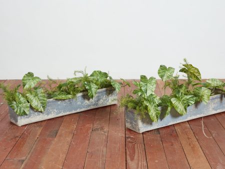 Willy Guhl Blue Rectangle Planter Online