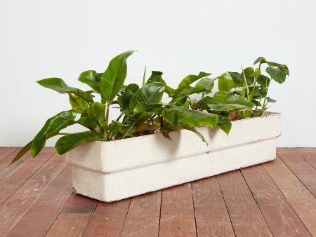 White Willy Guhl Rectangle Planter For Cheap