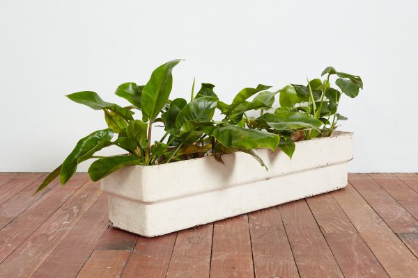 White Willy Guhl Rectangle Planter For Cheap