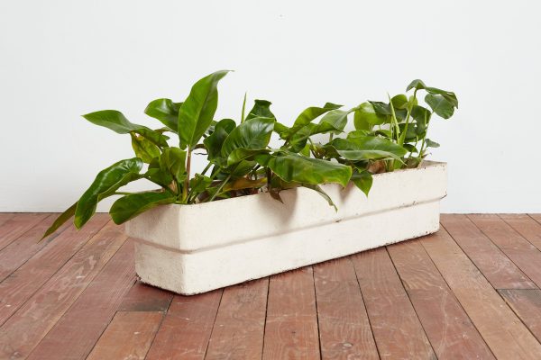 White Willy Guhl Rectangle Planter For Cheap