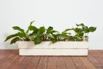 White Willy Guhl Rectangle Planter For Cheap