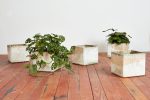 Willy Guhl Square Square Planters Online now