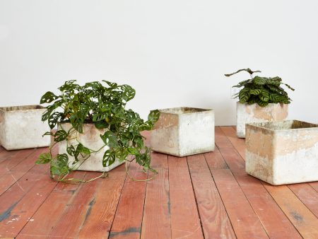 Willy Guhl Square Square Planters Online now